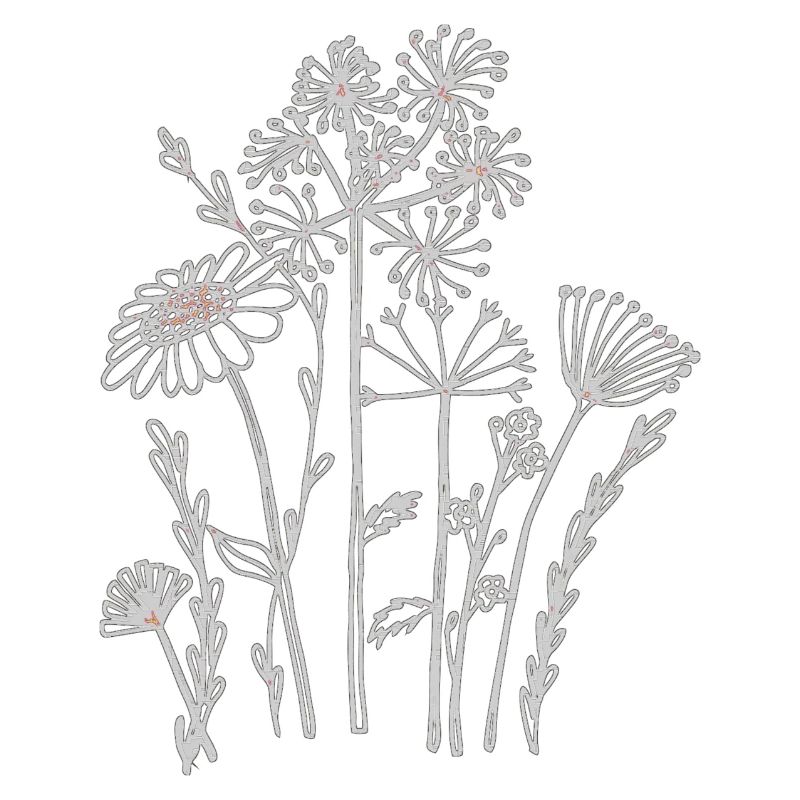 Fleurs séchées