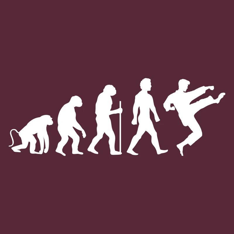 Karaté Évolution