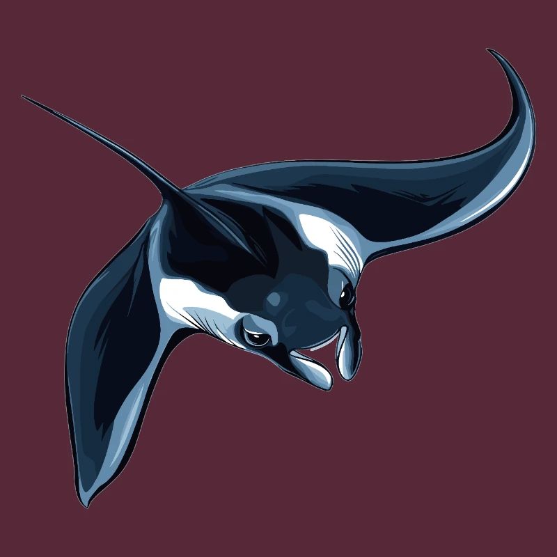Rays Manta Rays