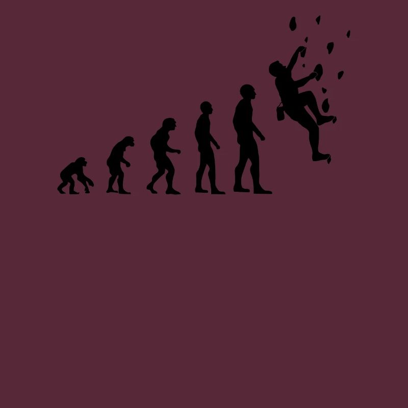 Climber Evolution Climbing Wall Climbing Hall