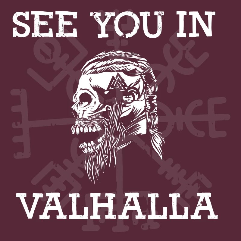 Rendez-vous à Vallhalla Compass Vikings