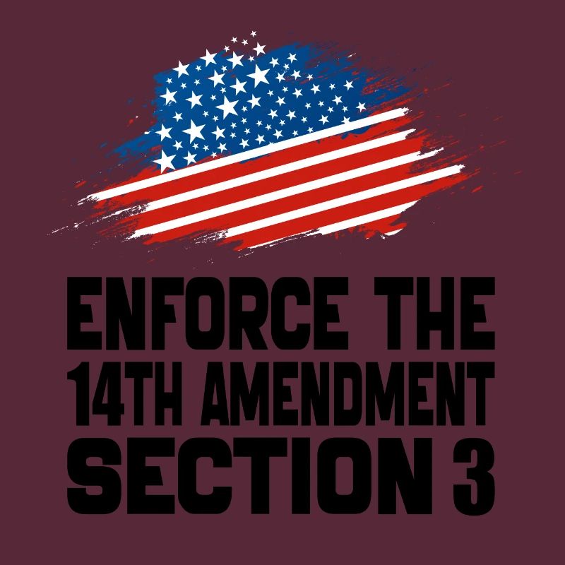 Enforce The 14TH Amendment Section 3