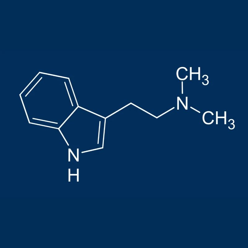 DMT dimethyltryptamine structural formula