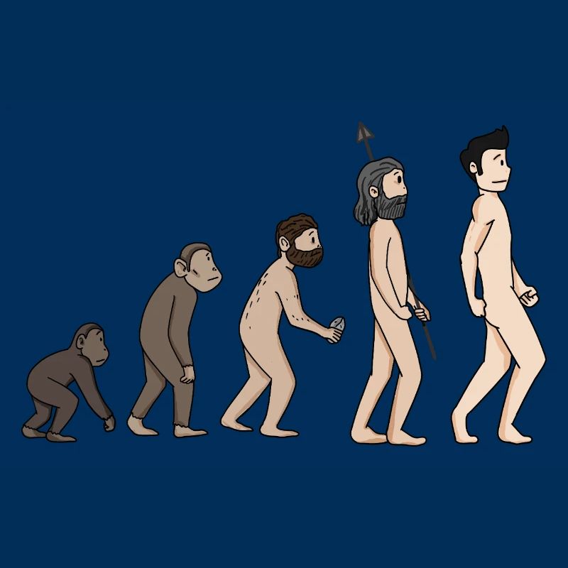 Human Development - Evolution Illustration