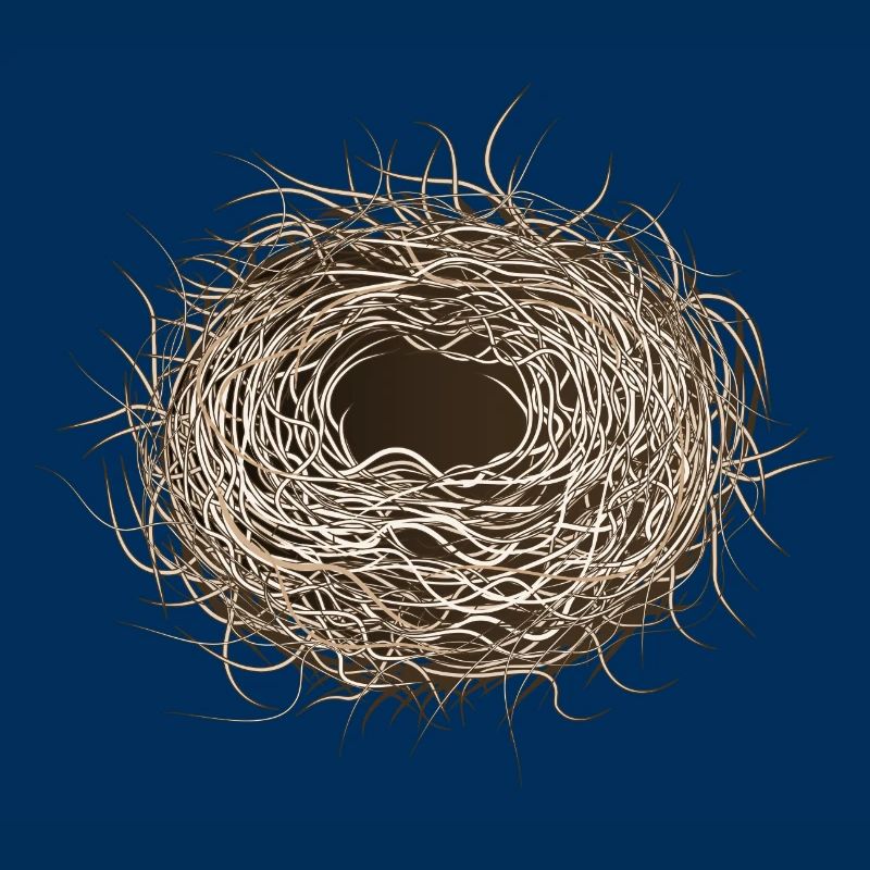 empty bird's nest or easter basket for spring