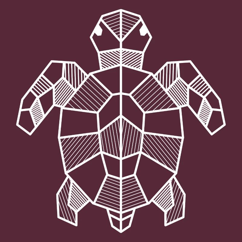 Turtle Geometric Gift Triangle Hipster
