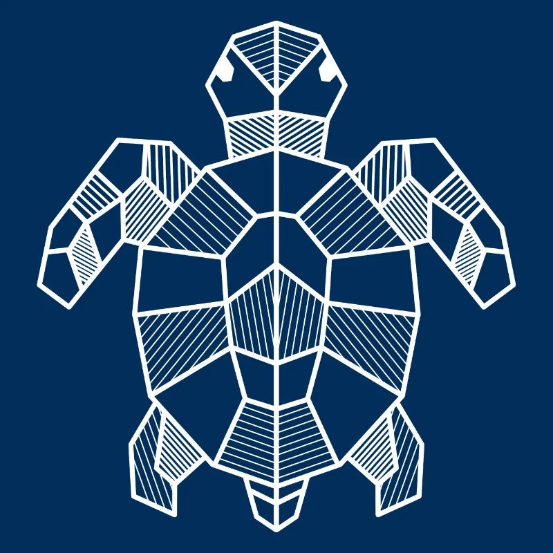 Turtle Geometric Gift Triangle Hipster