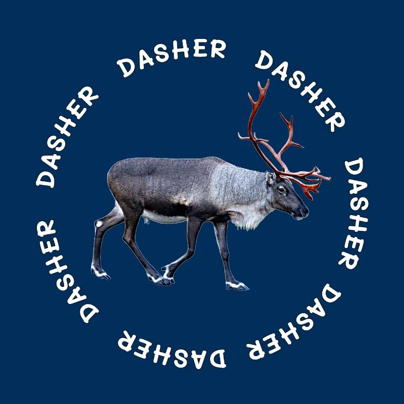 DASHER