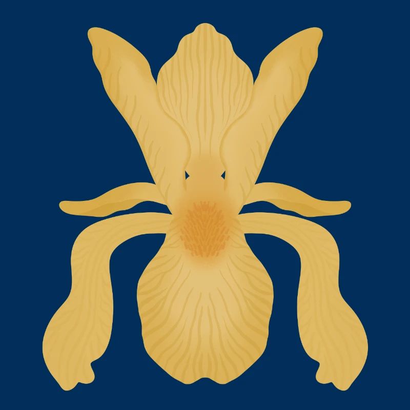 Floraison d’Iris doré