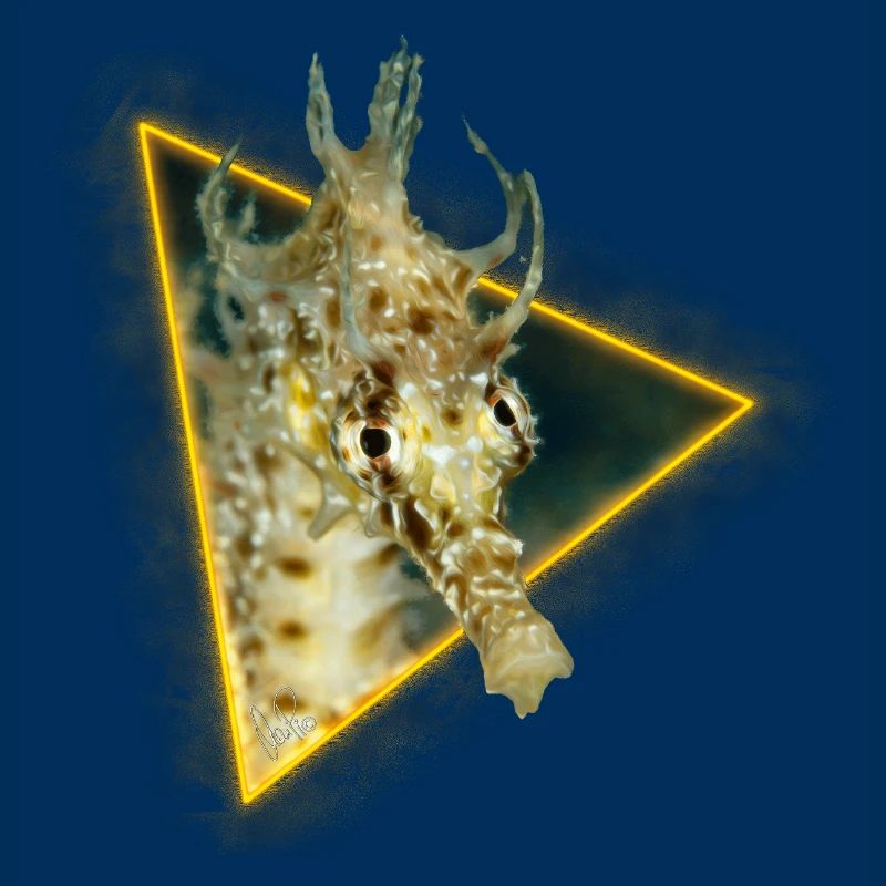 Hippocampe dans un triangle