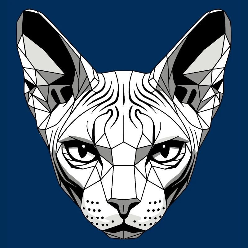 Sphynx Chat Sphynx Chat Chat Canadien Sphinx mignon