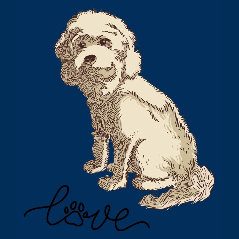 Cockapoo Cocker Spaniel Caniche Caniche miniature amour de chien