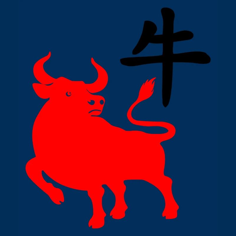 Caractère chinois rouge os avec image du système d’exploitation