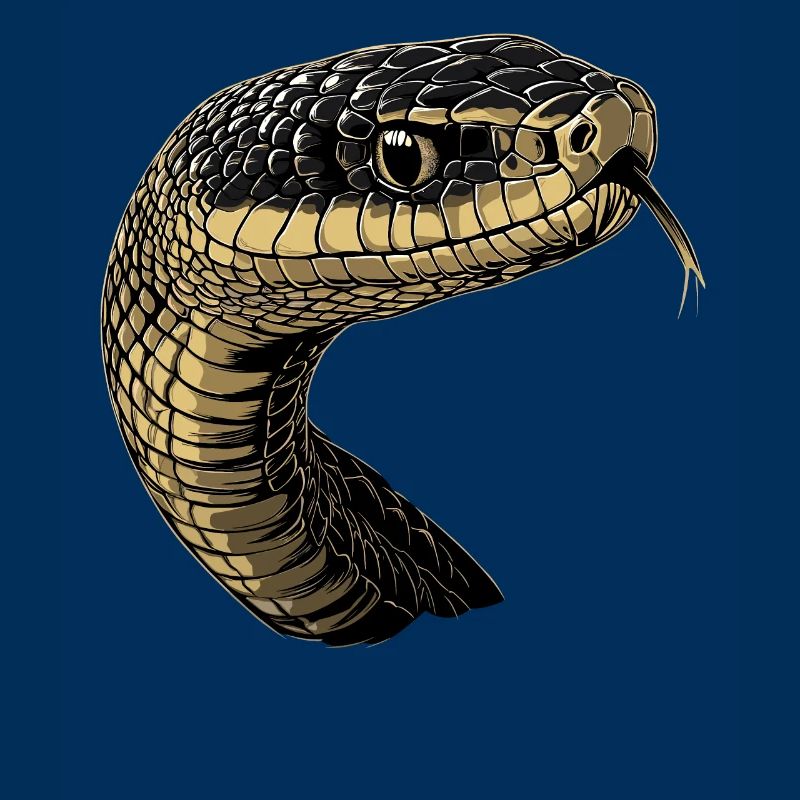 Snake Python Cobra Mamba Rattlesnake Snake