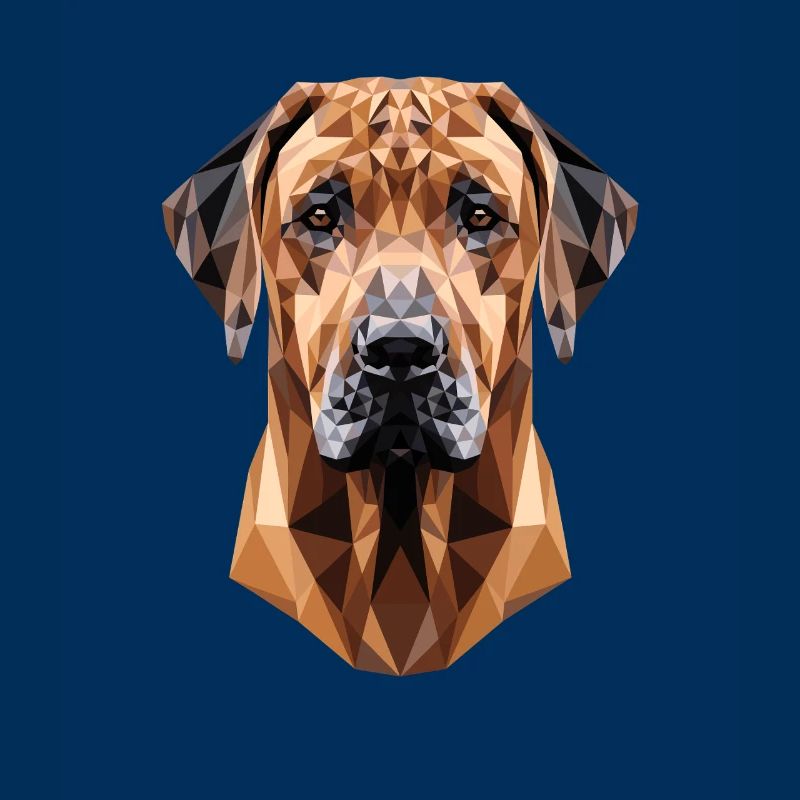 Rhodesian Ridgeback Jagdhund Hunde Stolz Ridgeback