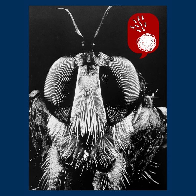 Bug off (Bug désactivé)