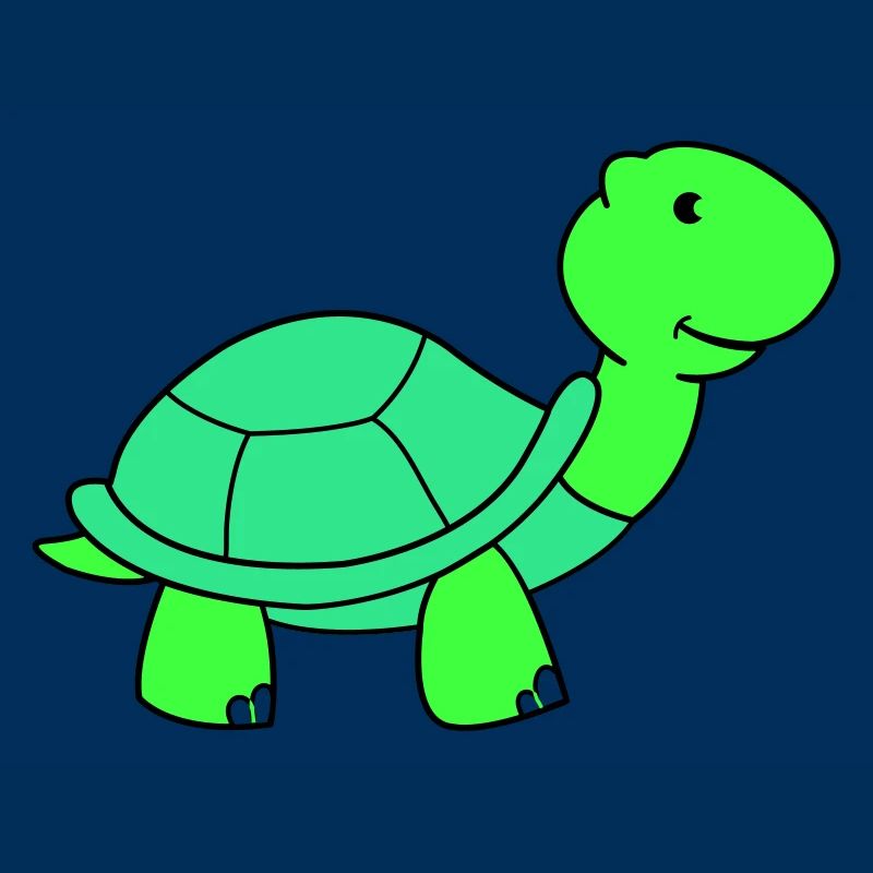 tortue