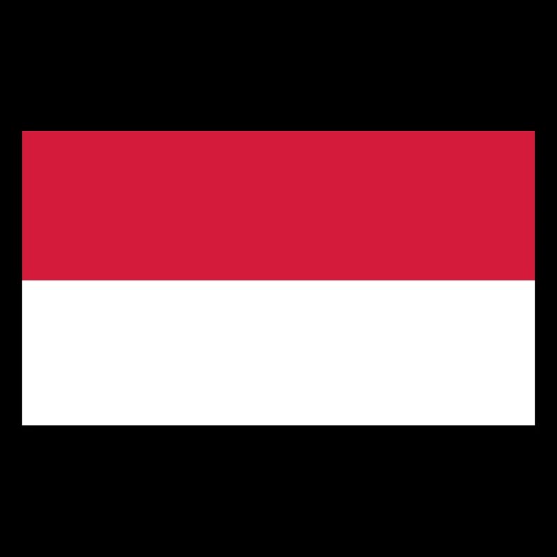 indonesia flag