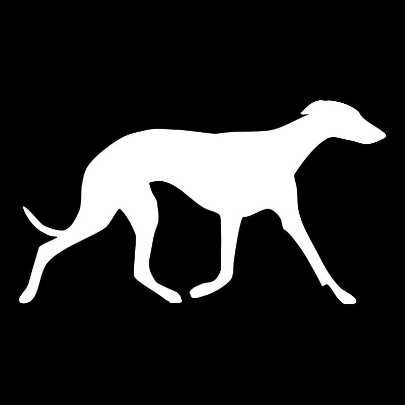 Whippet