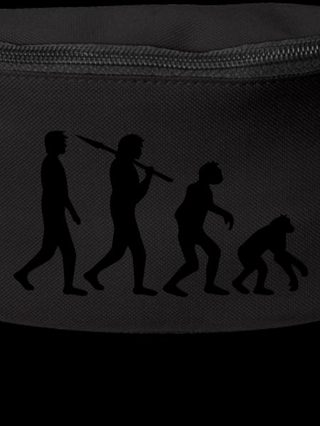 devolution