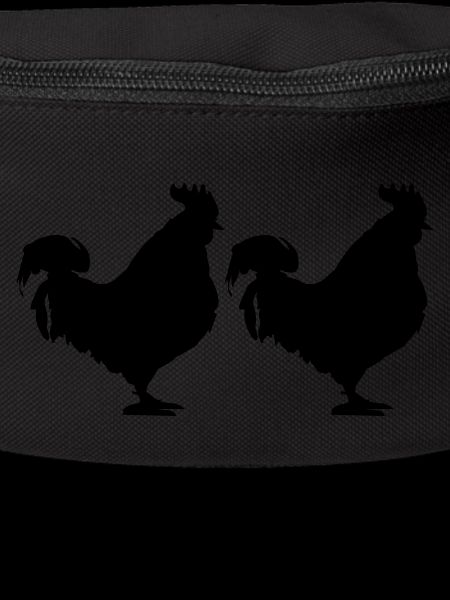 Coq 2