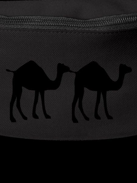 Camel