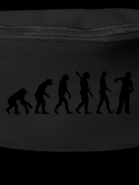 Évolution Rapper