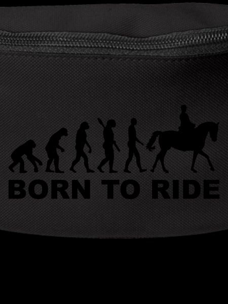 Évolution aller à cheval