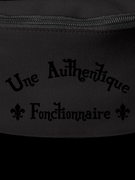 Fonctionnaire / Fonction Publique / Administration