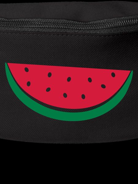 Melon Disc Design
