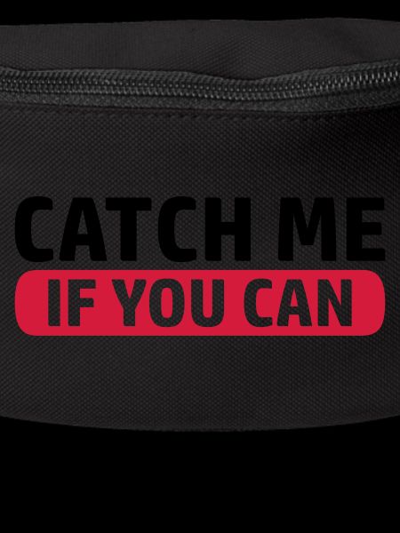 Game Catch Me