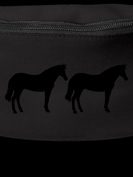 Chevaux