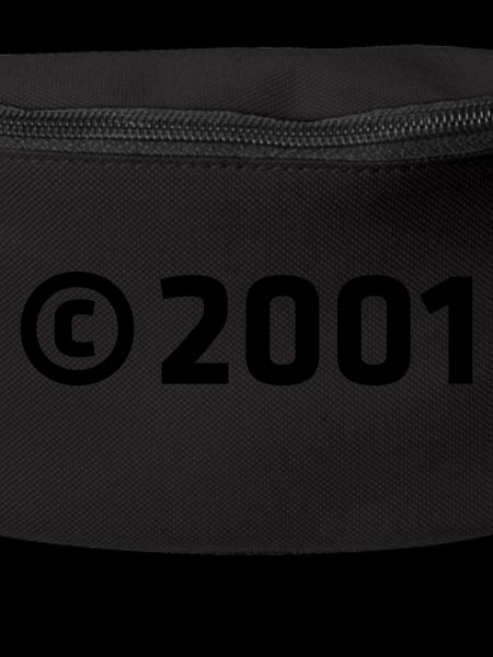 Copyright 2001