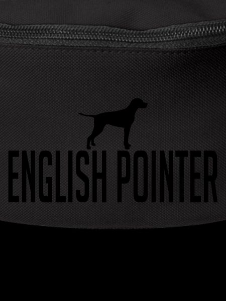 ENGLISH POINTER dog