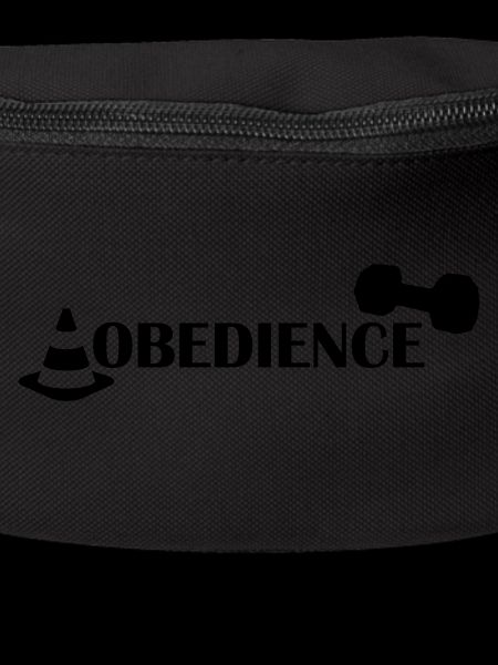Obedience