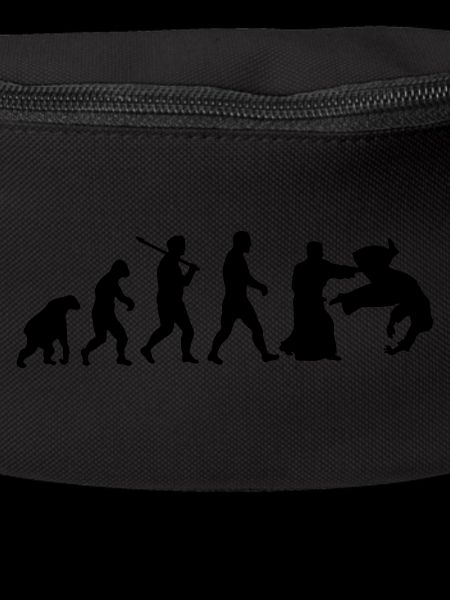 Evolution: Aïkido