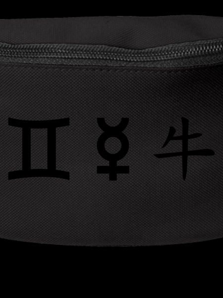 Gemini Gemini Mercury Ox