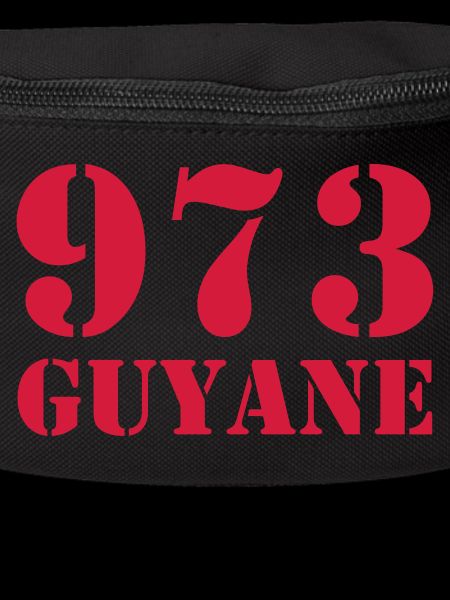 973 Guyane