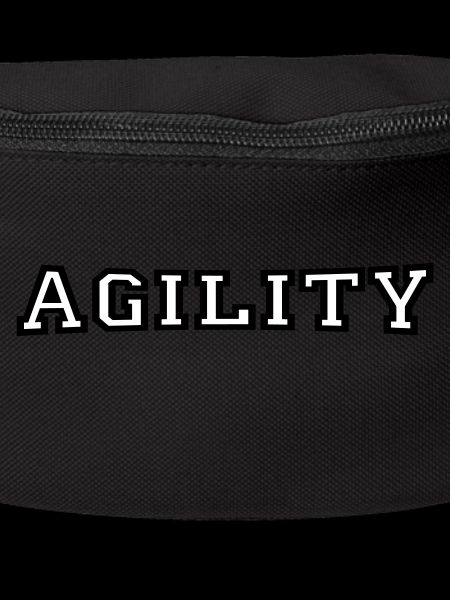 Agilité