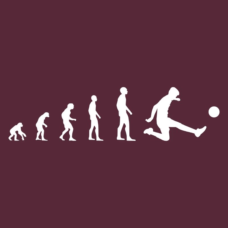 Fußball – Evolution