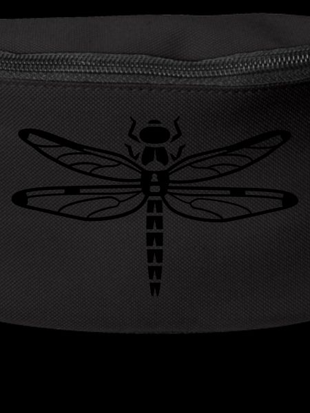 Dragonfly - insect