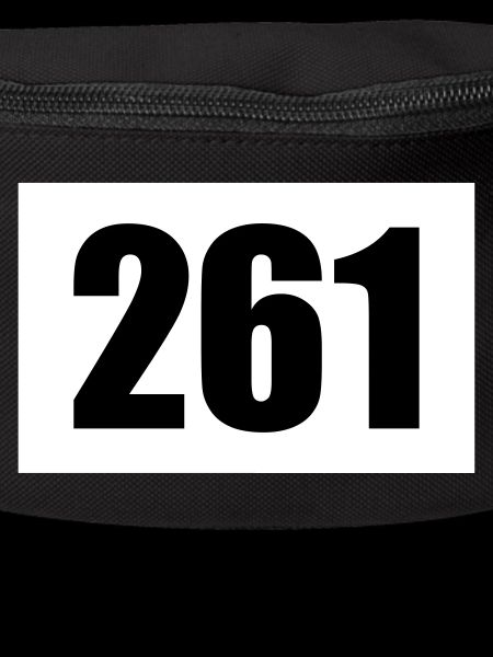 Start number 261
