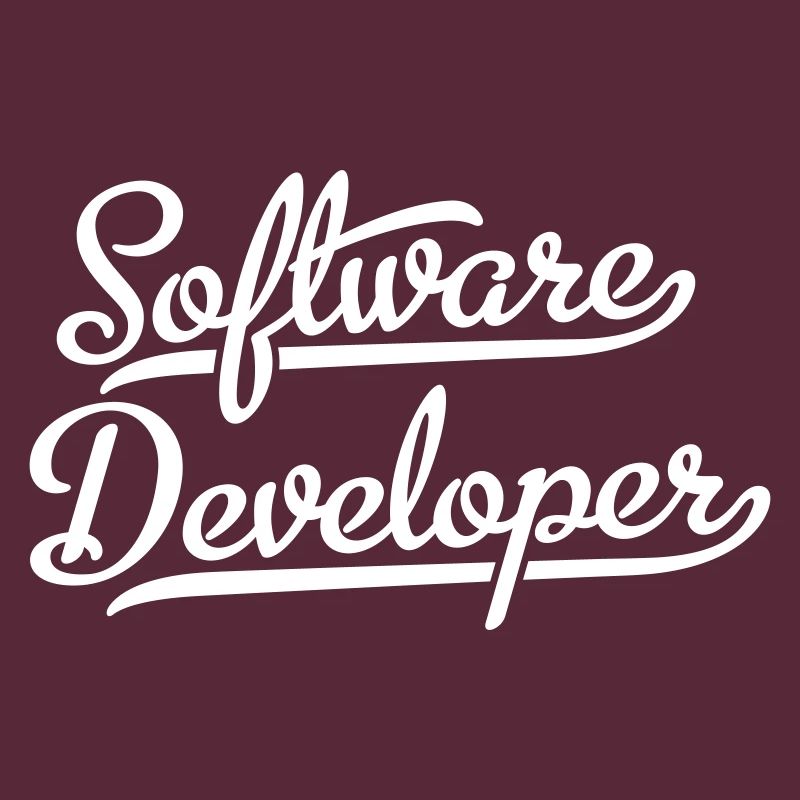 Software Developer