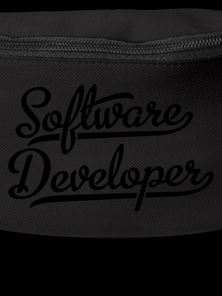Software Developer