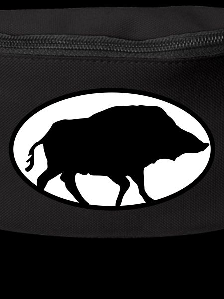 Boar