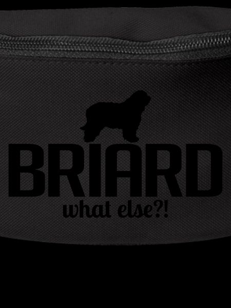 BRIARD what else
