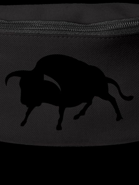 stier