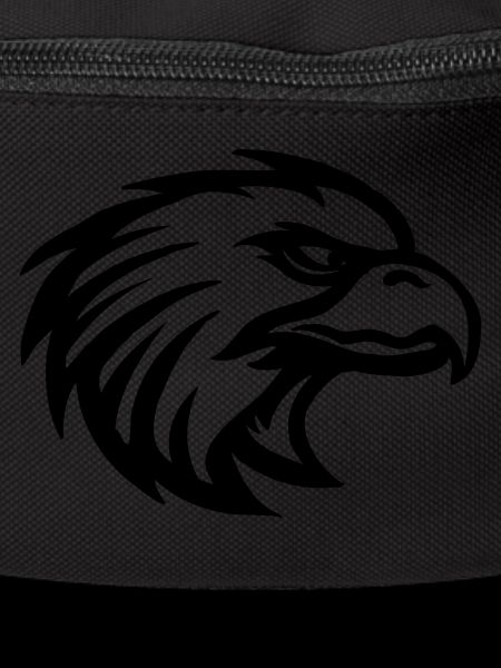 eagle03