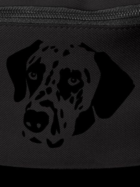 Dalmatian dog