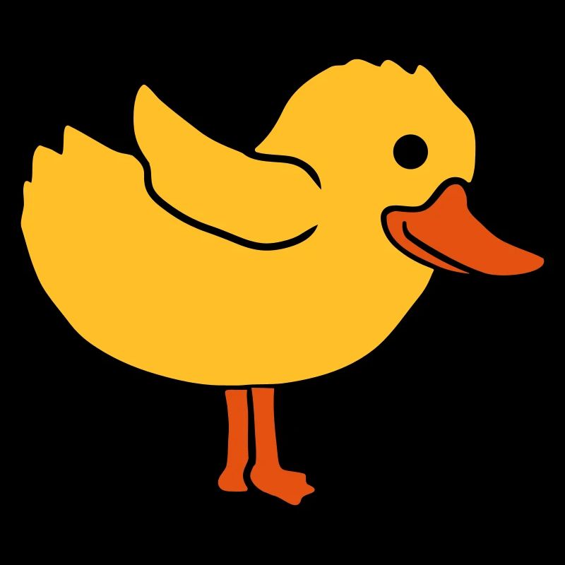 Duck Cute Chicken Chick